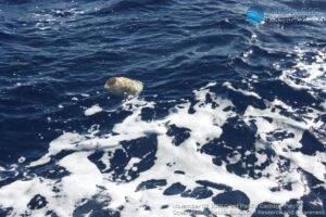Great Pacific Garbage Patch 2018