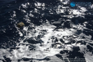 Great Pacific Garbage Patch 2018