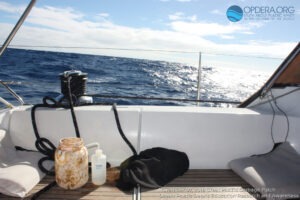 Great Pacific Garbage Patch 2018