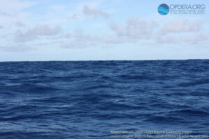 Great Pacific Garbage Patch 2018