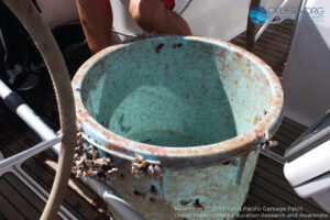 Great Pacific Garbage Patch 2018