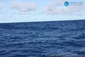 Great Pacific Garbage Patch 2018