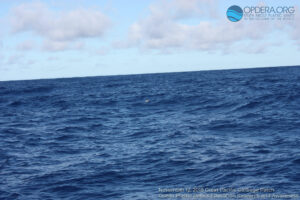 Great Pacific Garbage Patch 2018