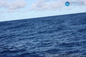 Great Pacific Garbage Patch 2018