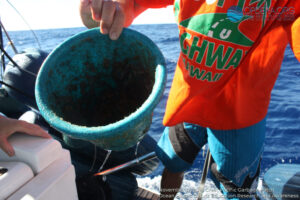Great Pacific Garbage Patch 2018