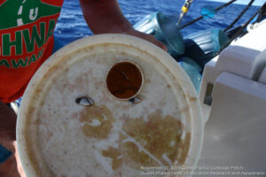 Great Pacific Garbage Patch 2018