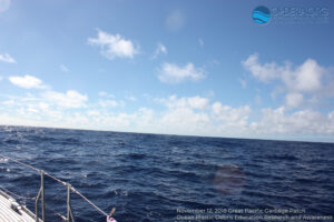 Great Pacific Garbage Patch 2018