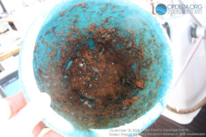 Great Pacific Garbage Patch 2018