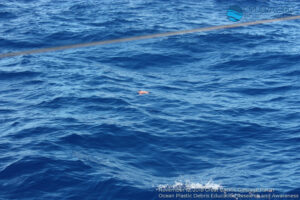 Great Pacific Garbage Patch 2018