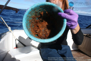 Great Pacific Garbage Patch 2018