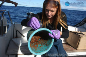 Great Pacific Garbage Patch 2018