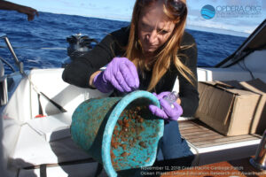 Great Pacific Garbage Patch 2018