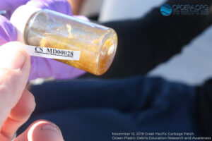 Great Pacific Garbage Patch 2018