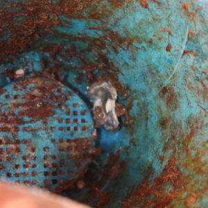 Great Pacific Garbage Patch 2018
