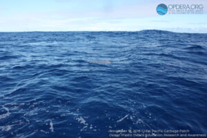 Great Pacific Garbage Patch 2018