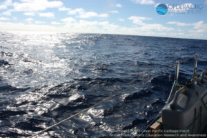 Great Pacific Garbage Patch 2018
