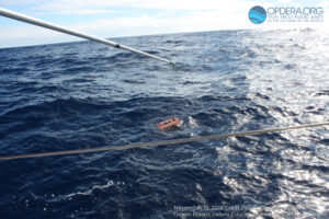 Great Pacific Garbage Patch 2018