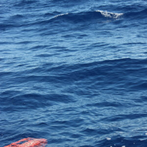 Great Pacific Garbage Patch 2018