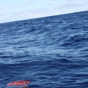 Great Pacific Garbage Patch 2018