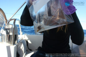 Great Pacific Garbage Patch 2018