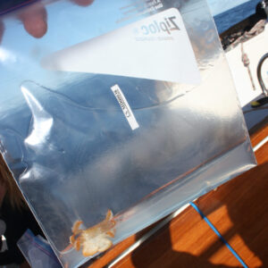 Great Pacific Garbage Patch 2018