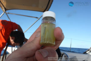 Great Pacific Garbage Patch 2018