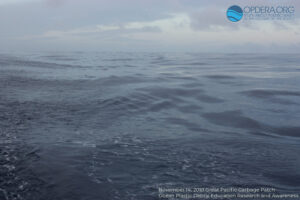 Great Pacific Garbage Patch 2018