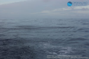 Great Pacific Garbage Patch 2018