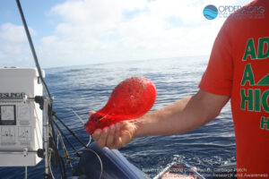 Great Pacific Garbage Patch 2018