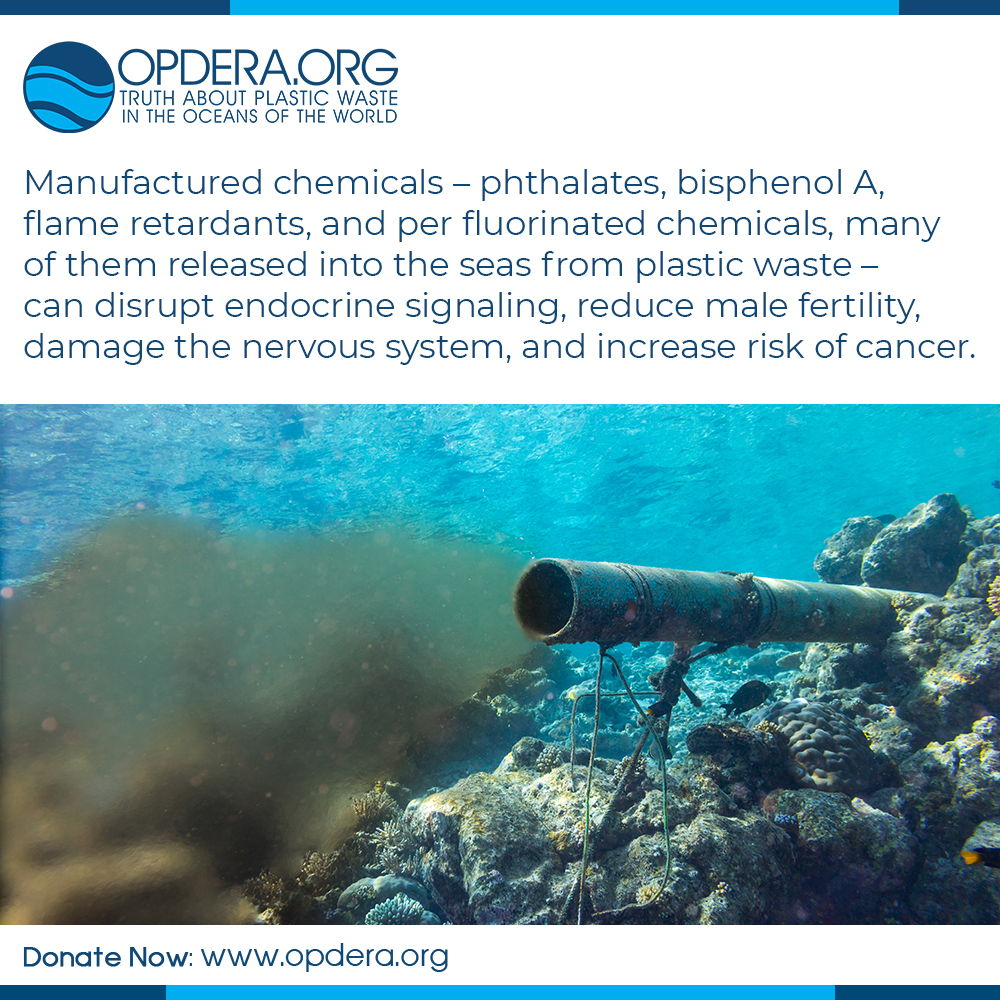 1 | opdera. Org | the truth about plastic waste in the world's oceans | cancer, chemicals, health problems, male fertility, nervous system, phthalates, plastic pollution, plastic waste