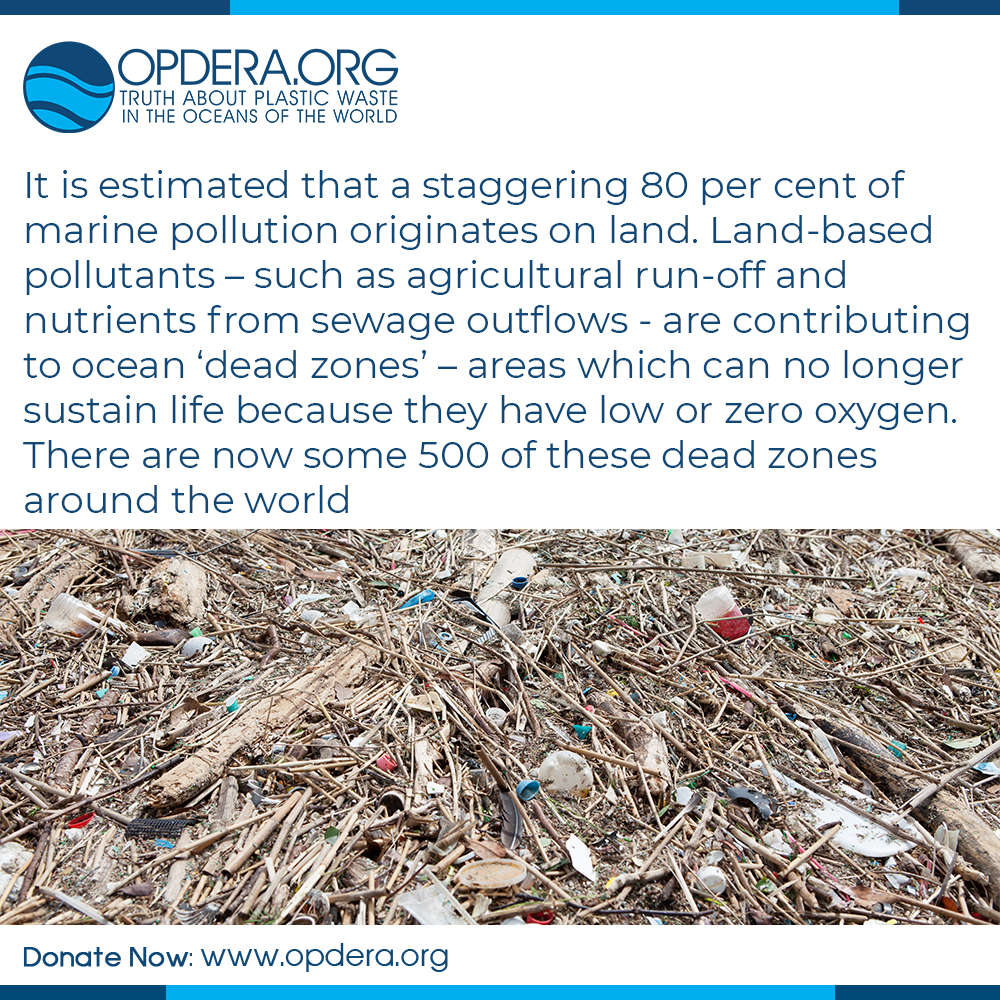 12 | opdera. Org | the truth about plastic waste in the world's oceans | ghost gear, marine animal death, microplastics, plastic pollution