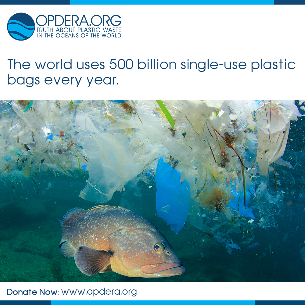 7 | opdera. Org | the truth about plastic waste in the world's oceans | plastic bags, plastic waste, single use plastic