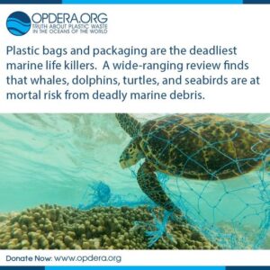 OPDERA, Great Pacific Garbage Patch, Environment, Marine Life, Recyling