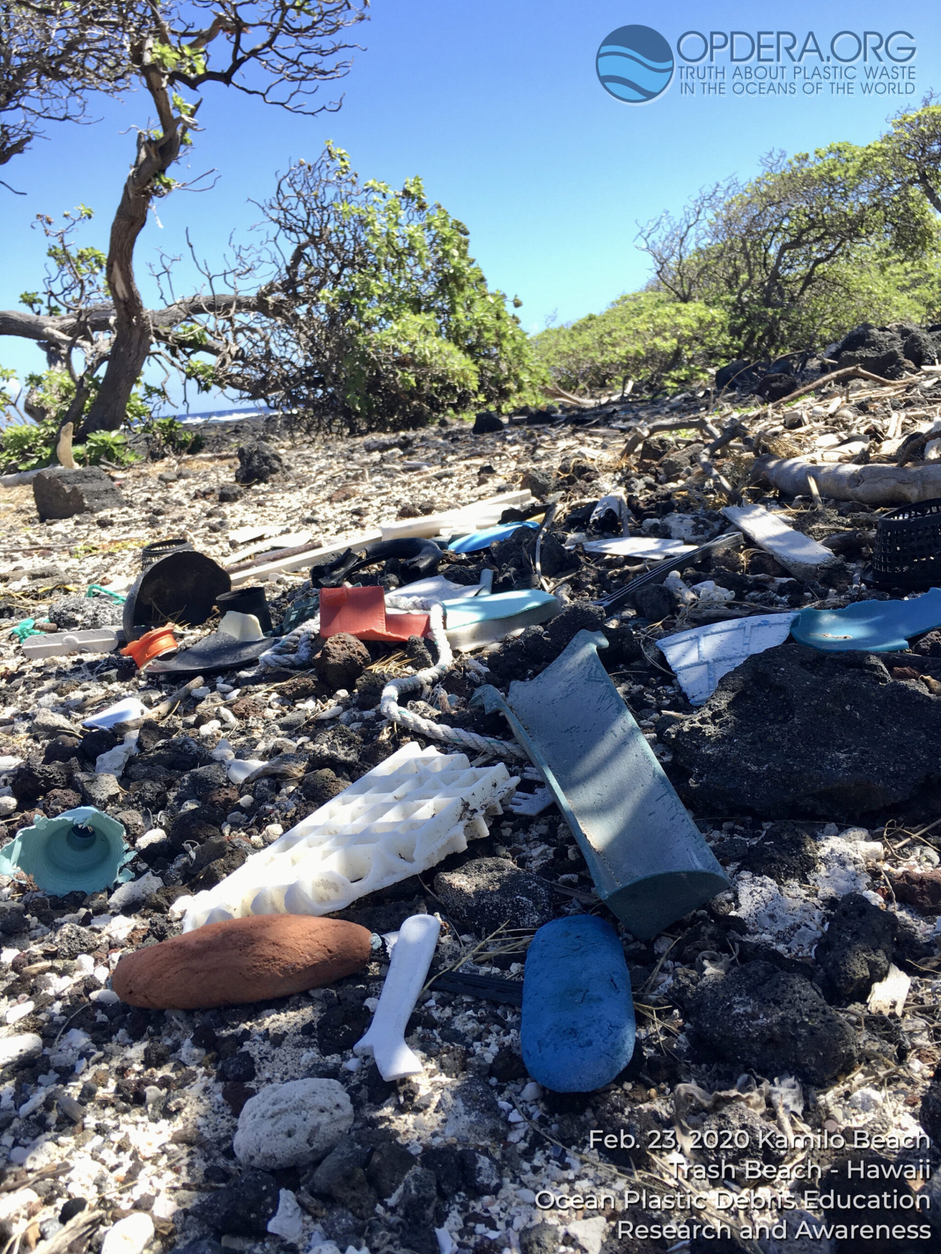 How Big Plastic Companies Make You Feel Guilty | OPDERA.ORG | The Truth About Plastic Waste In The World's Oceans How Big Plastic Companies Make You Feel Guilty