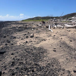 Kamilo Beach