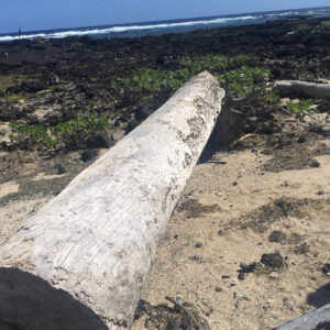 Kamilo Beach