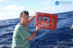 Coastal Species Living on Ocean Plastic